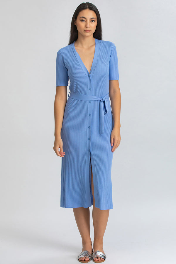 CALENDULA | Sky Blue Fitted Maternity Dress with V-Neckline