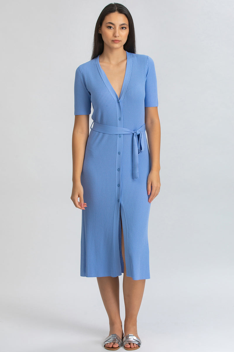 CALENDULA | Sky Blue Fitted Maternity Dress with V-Neckline