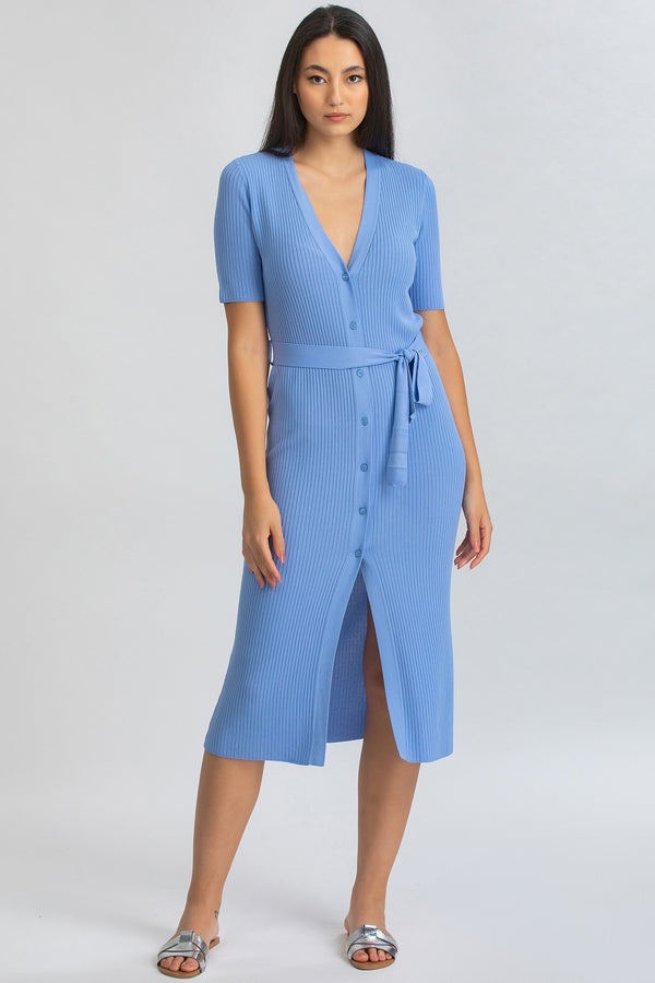CALENDULA | Sky Blue Fitted Maternity Dress with V-Neckline