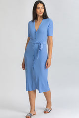 CALENDULA | Sky Blue Fitted Maternity Dress with V-Neckline