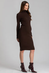 CELESTE | Brown Maternity Bodycon Dress