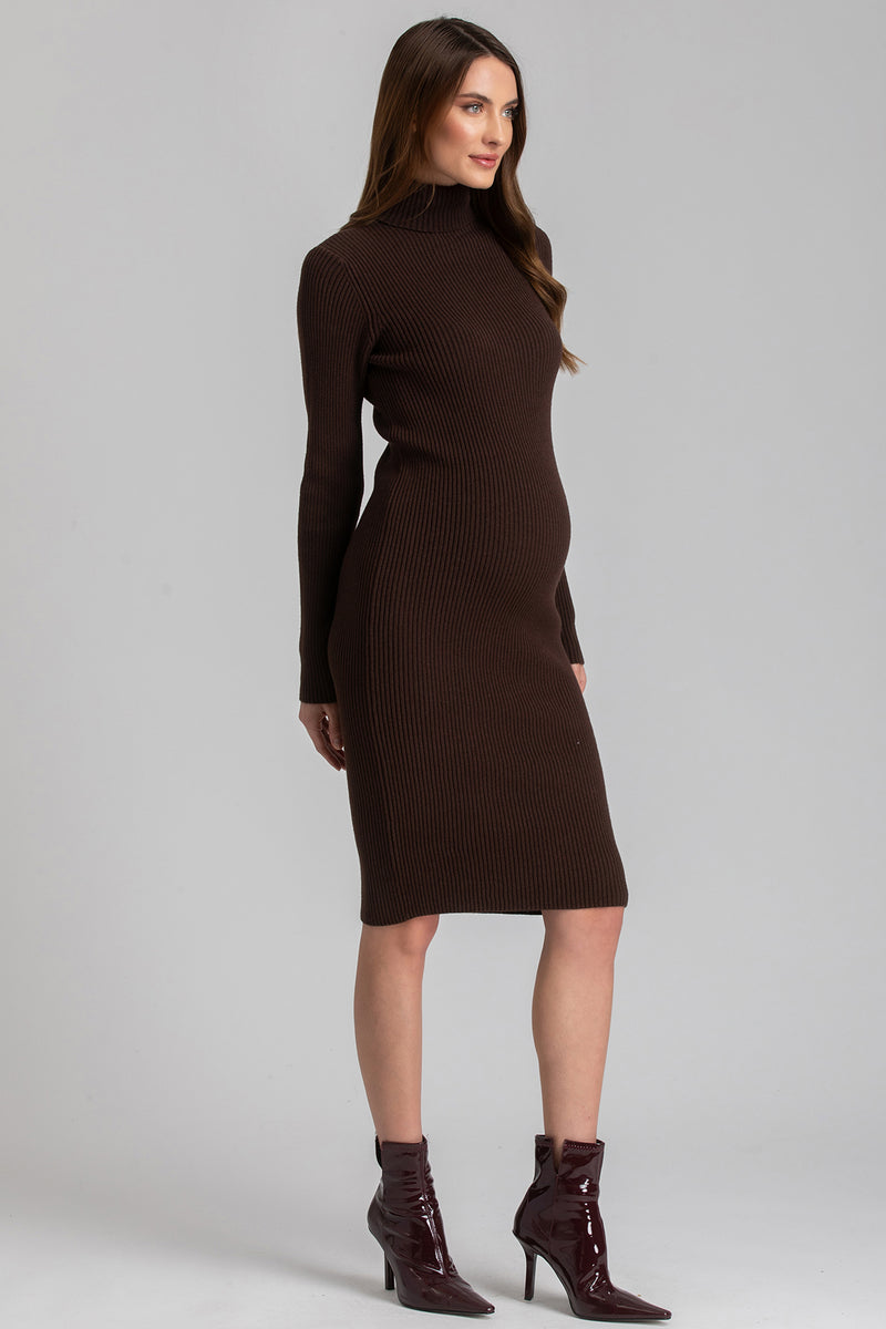 CELESTE | Brown Maternity Bodycon Dress