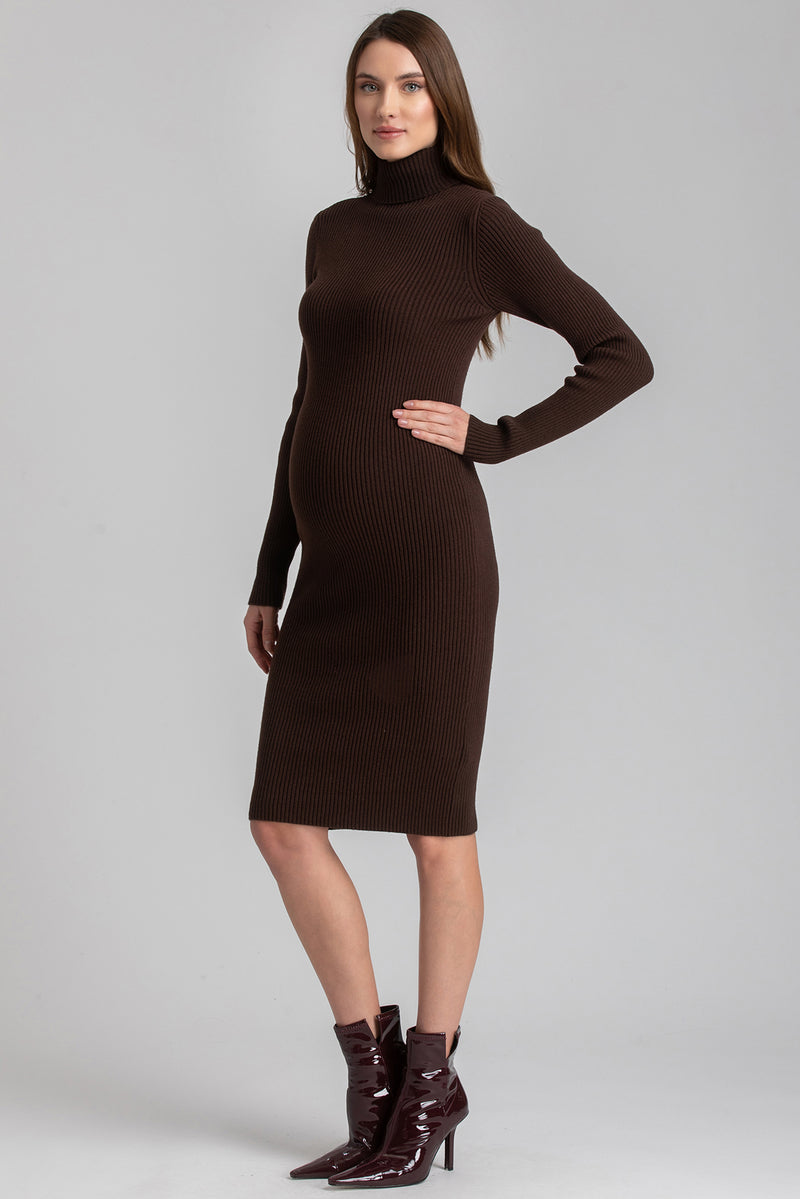 CELESTE | Brown Maternity Bodycon Dress