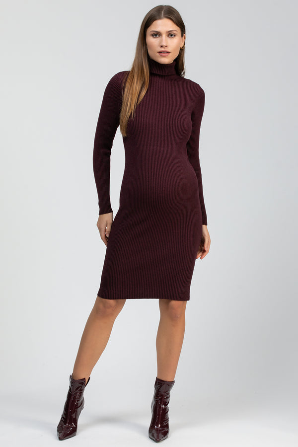 CELESTE | Bordeaux Maternity Bodycon Dress