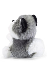 FLUFFY | Husky