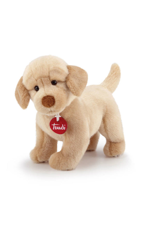 Peluche Labrador Trudi | LIAM