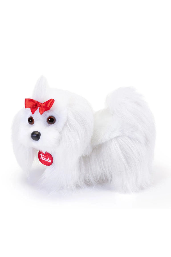 Peluche Cane Maltese
