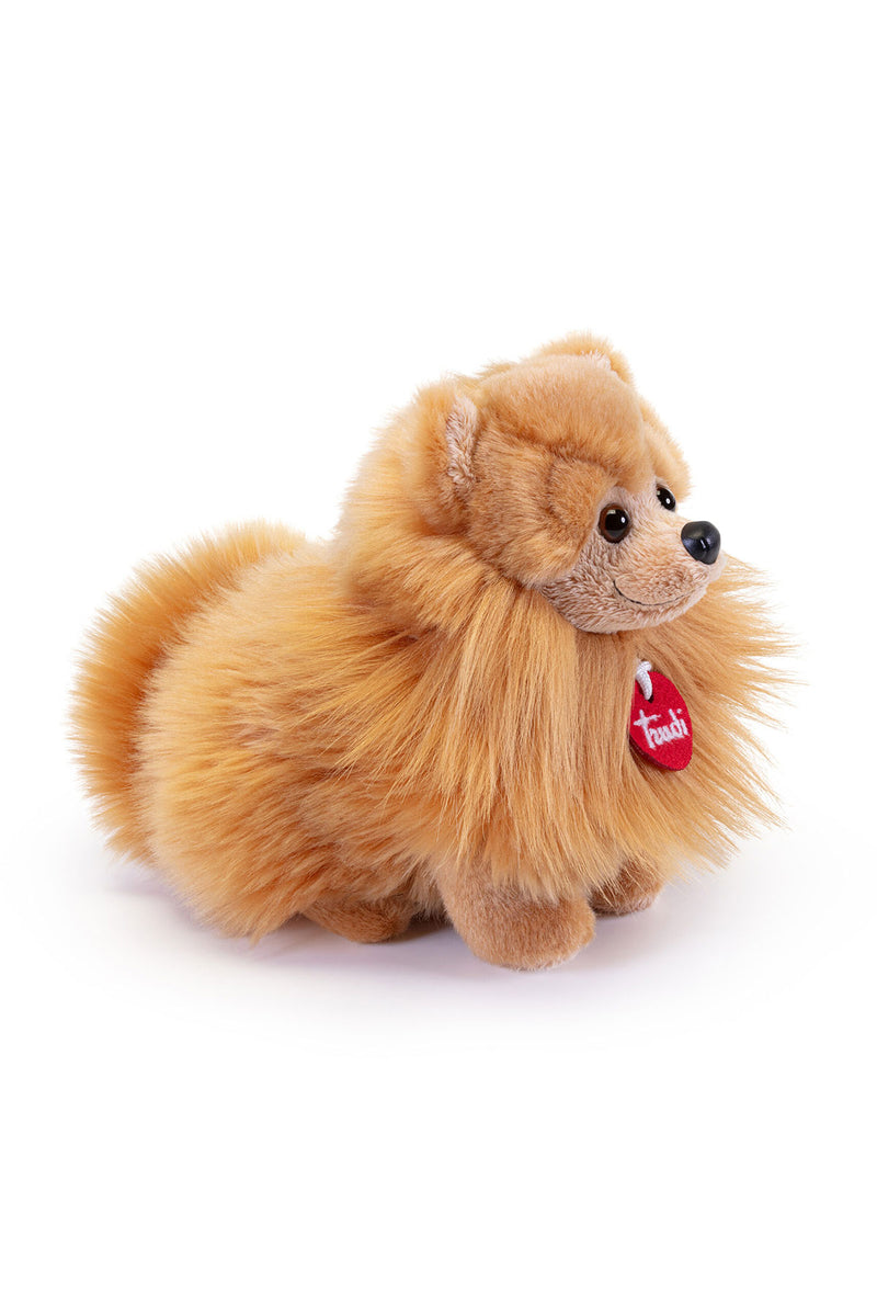 Peluche pomerania