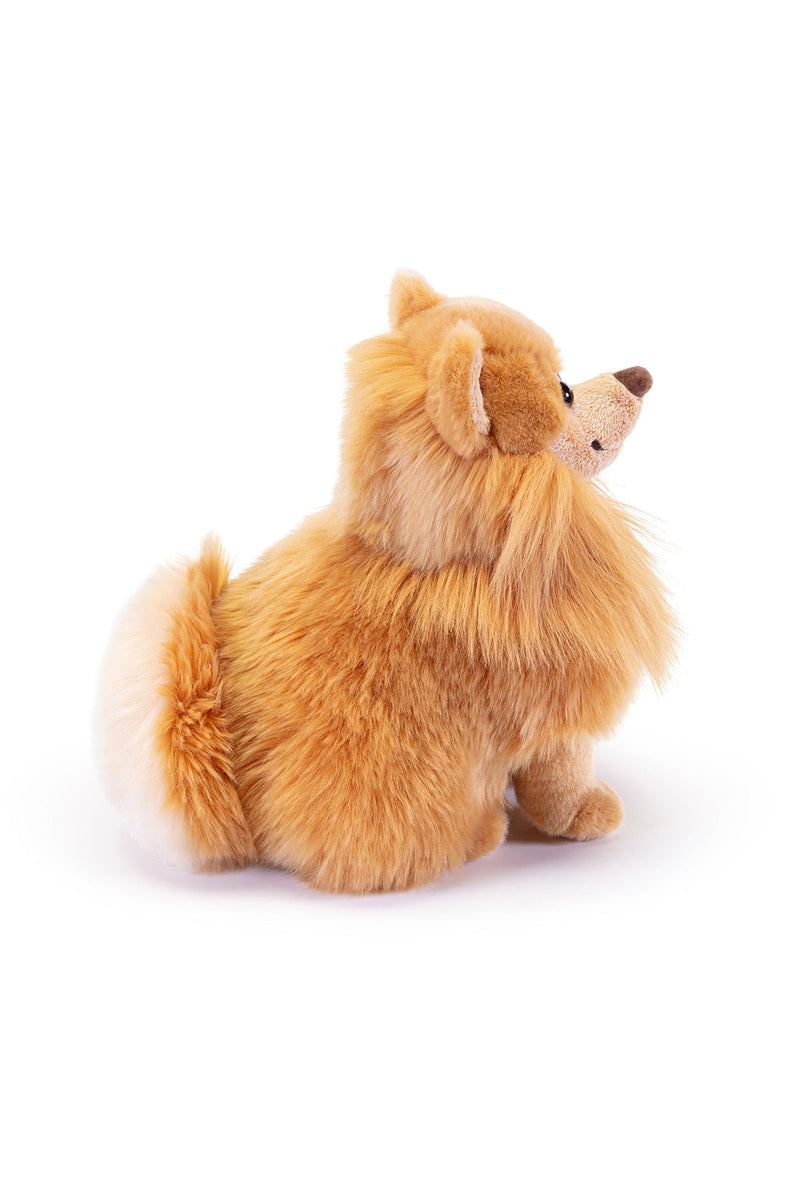 BISCUIT | Pomerania S