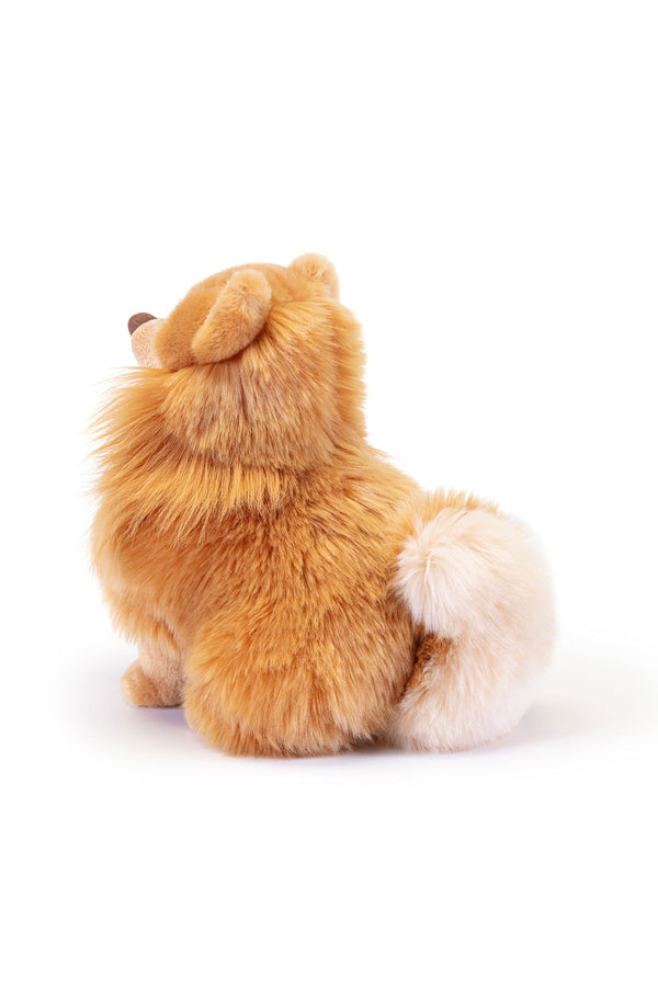 BISCUIT | Pomerania S