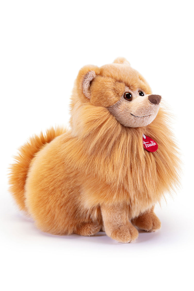 Peluche pomerania