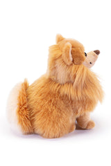 BISCUIT | Pomerania M