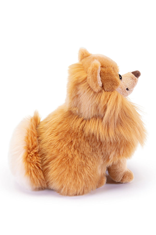 BISCUIT | Pomerania M